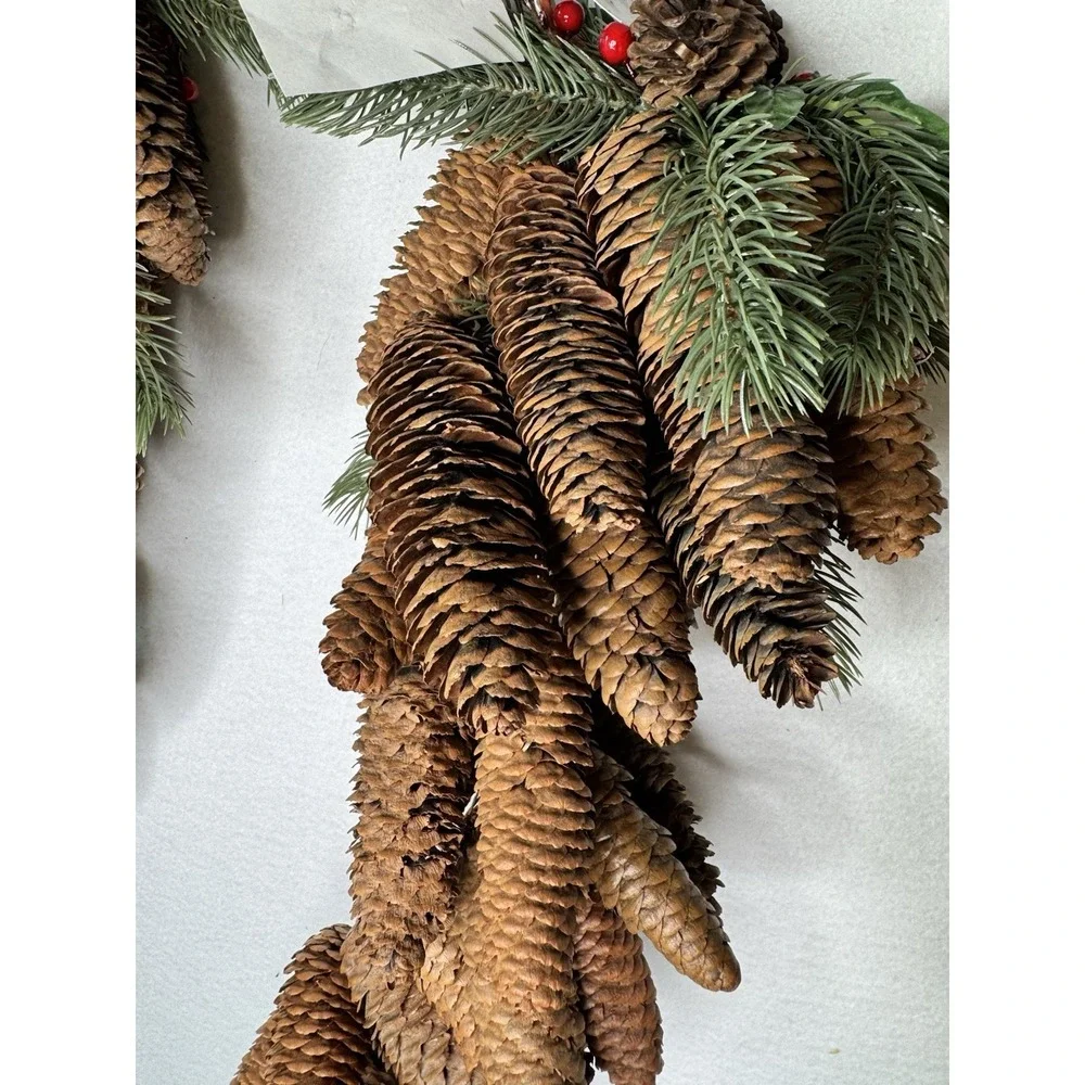 2 Natural Pinecone 26